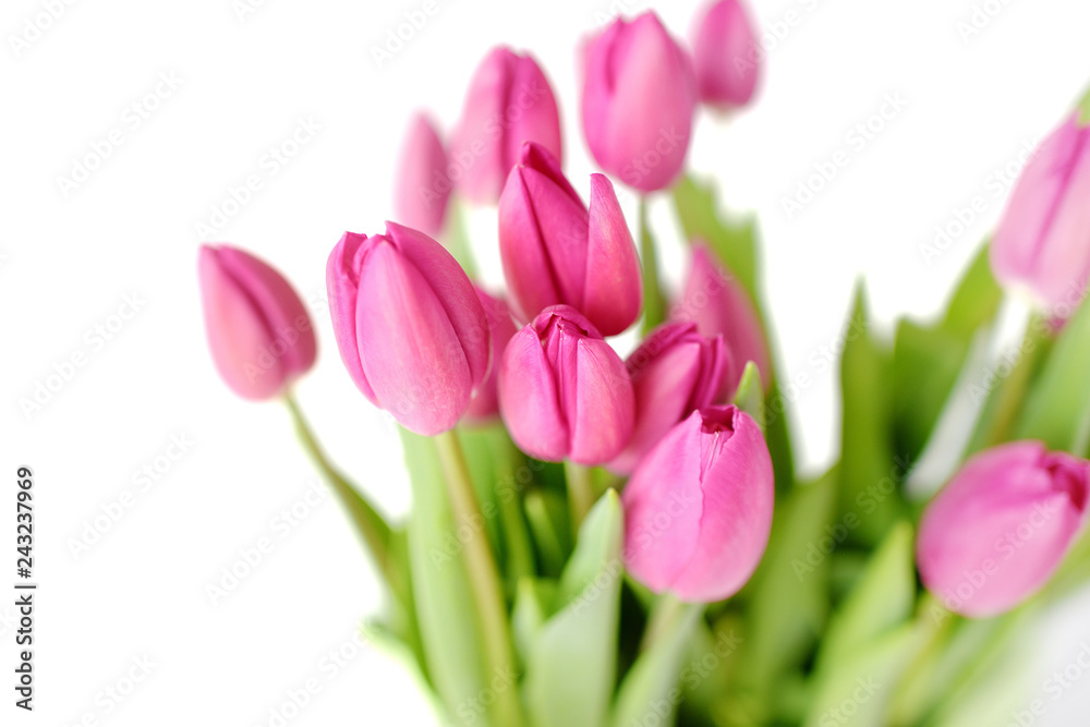 Fresh Pink tulips. A bouquet of spring flowers