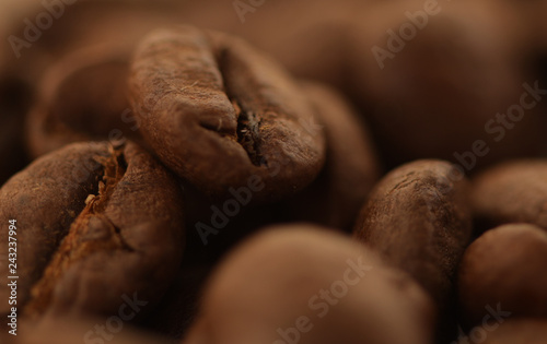 Coffee beans in closeup