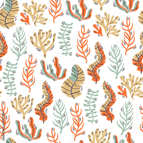 Vector Seamless Pattern with Seaweed and Corals. Hand Drawn Vector Illustration.