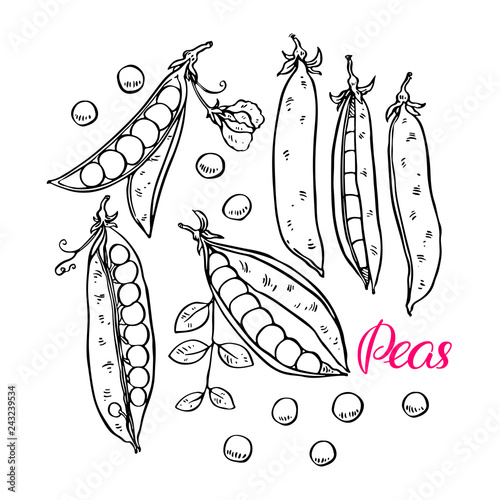 set of ripe peas