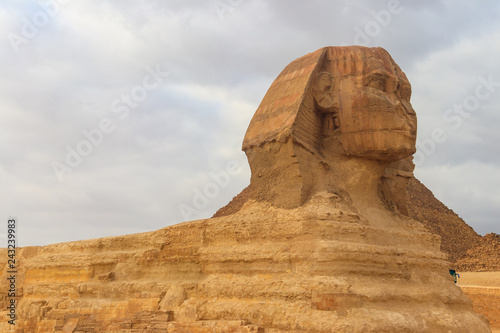 Close-up of Great Sphinx of Giza in Cairo  Egypt