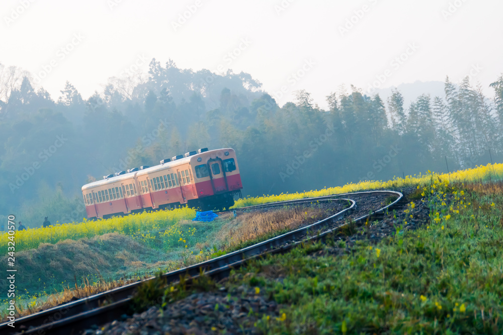 Obraz premium 石神の菜の花畑