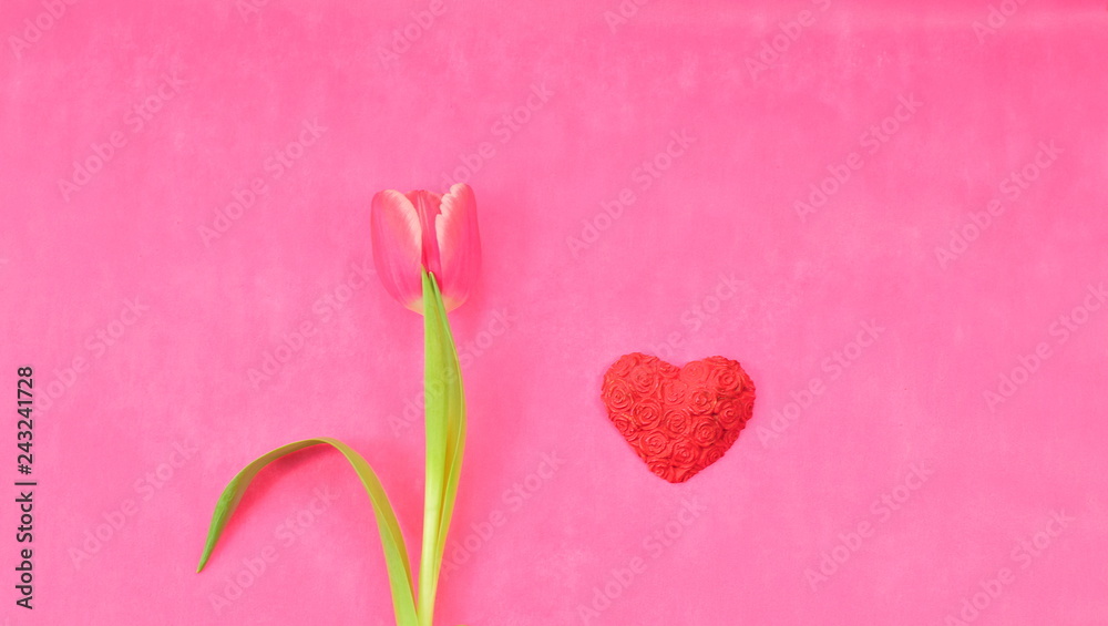 Pink background with red tulip and red heart for Valentine's Day