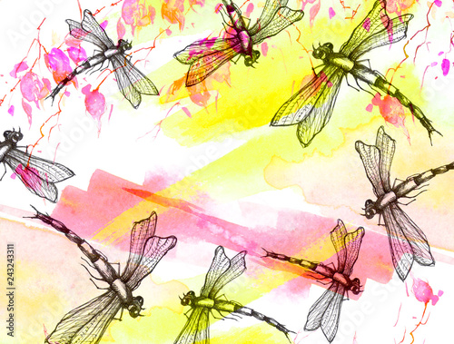 Watercolor illustration. Dragonfly flies against the sky, background. Abstract orange, pink, yellow paint splash.Stylish drawing. Dragonfly Graphic Realistic Line Ink Drawing. Hand-drawn illustration. © helgafo