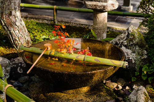 京都 圓光寺 水琴窟 photo