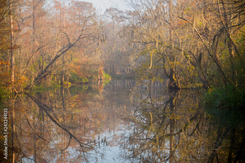 Beautiful lake hidden in the swamps of Laplace, Louisiana. 