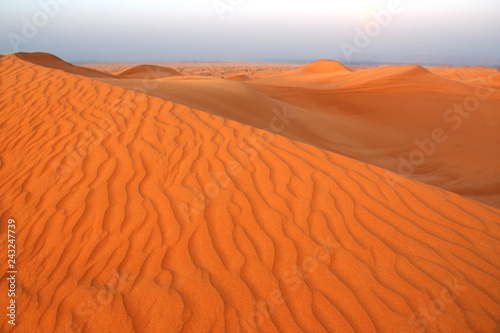 Sand dune in desert  UAE