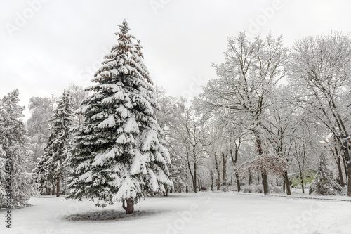 Winter park with many snow