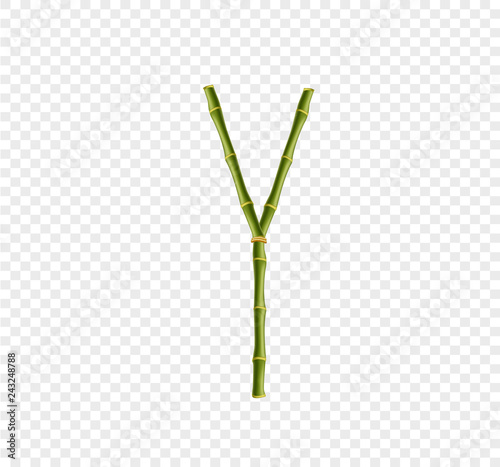 Capital letter Y made of green bamboo sticks on transparent background.