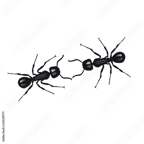 Two ants communicate by touching their antennas. Vector illustration on white background