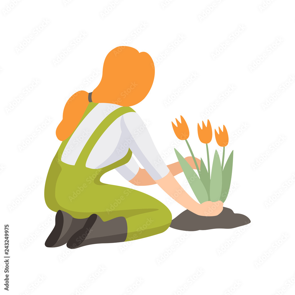 Girl planting tulip flowers, people working in the garden vector Illustration