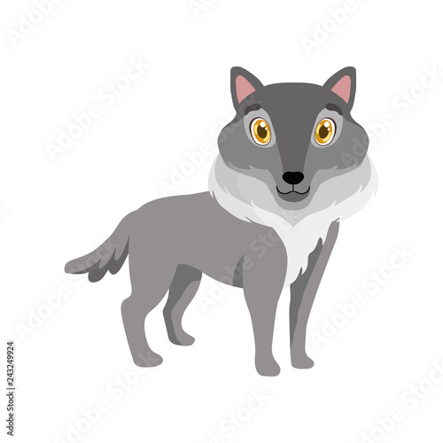 Fototapeta Naklejka Na Ścianę i Meble -  Cute grey wolf, lovely animal cartoon character vector Illustration