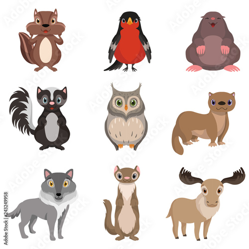 Cute forest animals and birds set, chipmunk, bullfinch, mole, cheerful, owl, polecat, raccoon, deer, wolf cartoon characters vector Illustration