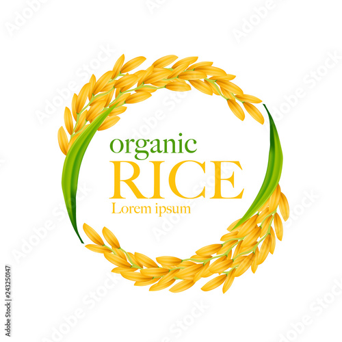 Rice realistic vector illustration
