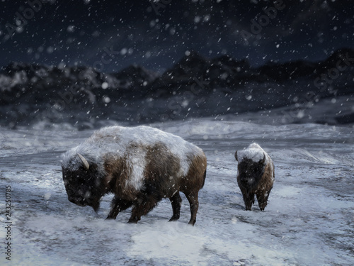 3D rendering of two majestic bison in a winter landscape.