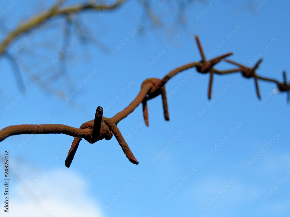Rusty barbed wire against blue sky with clouds and bare branches. Concept of boundary, prison, immigration or last war Rusty barbed wire against blue sky with clouds and bare branches. Concept of boundary, prison, immigration or last war