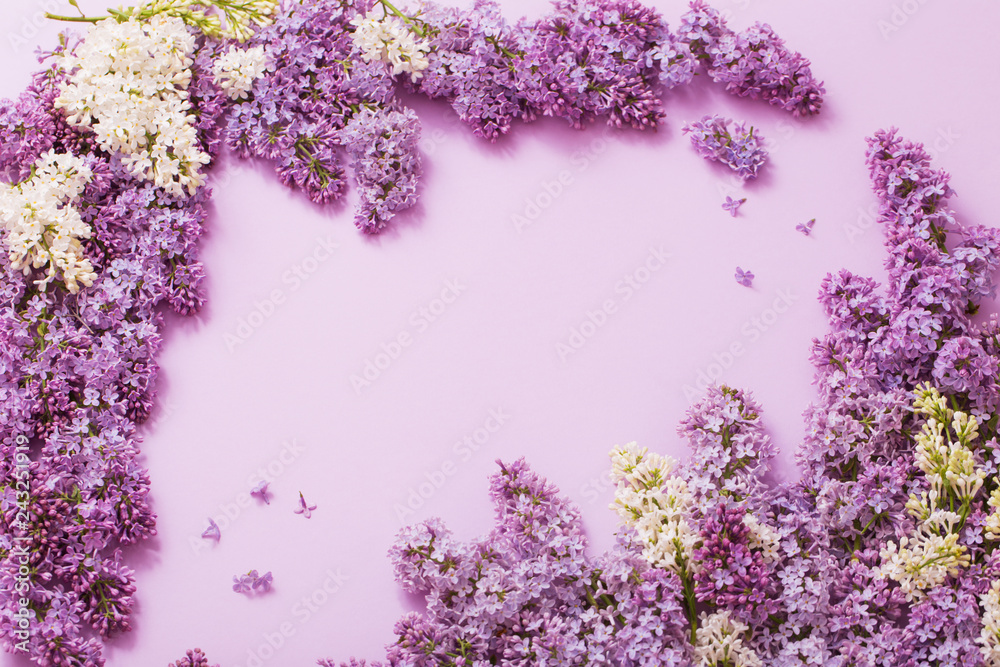 beautiful lilak on paper background beautiful lilak on paper background