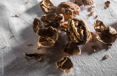 Wallpaper Mural dried fruit, nuts and healthy nutrition Torontodigital.ca