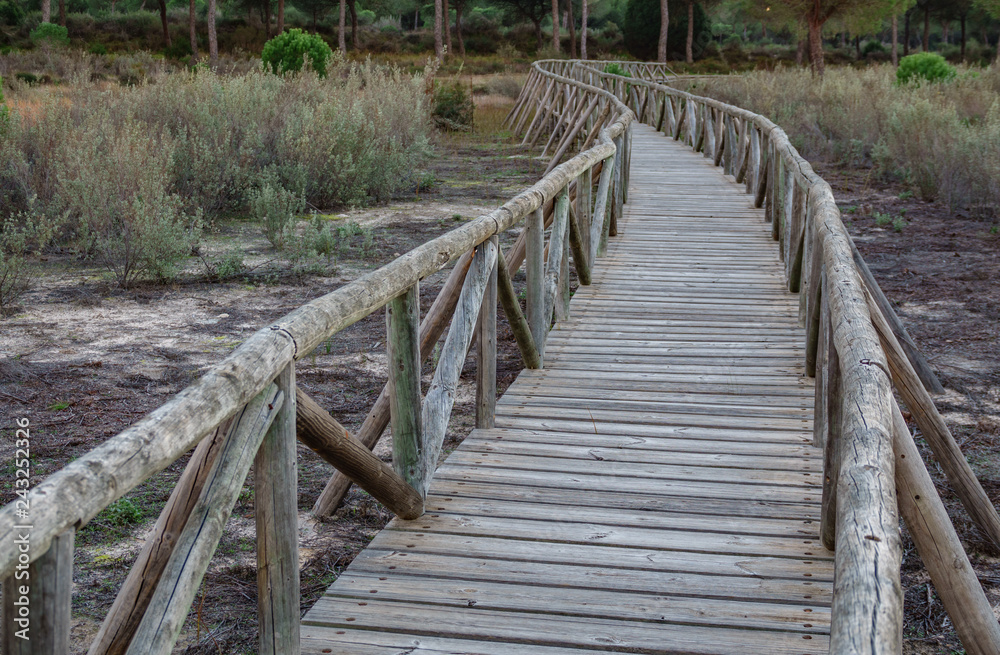Wide angle of wooden footbridge track over dry wetlands
