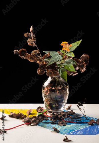 Wallpaper Mural vase of dried flowers, red flower and painted background Torontodigital.ca