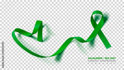 Gallbladder and Bile Duct Cancer Awareness Month. Realistic Kelly Green ribbon symbol. Medical Design. Vector Illustration.