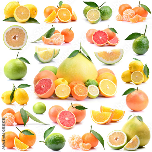 Citrus fruits on a white background