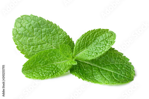Fresh mint leaves, isolated on white background
