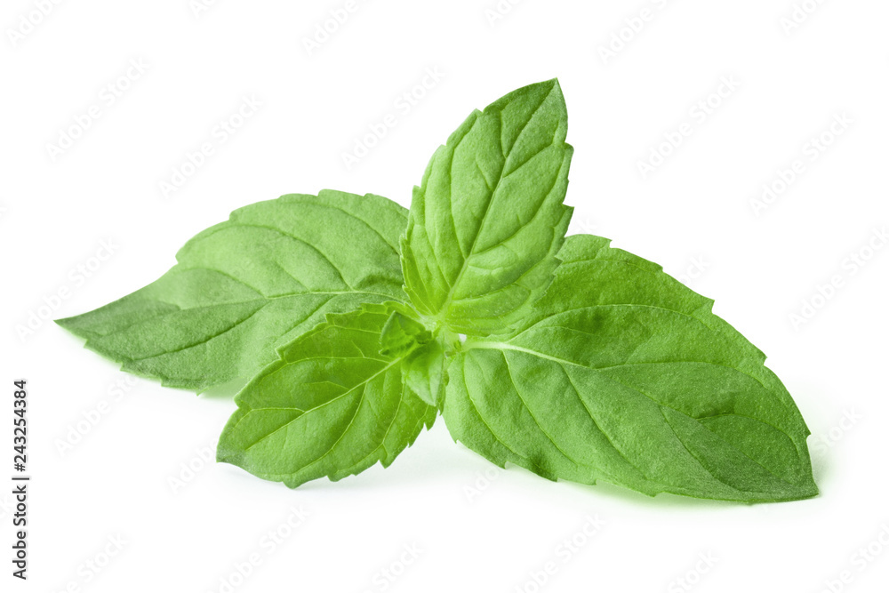 Fresh mint leaves, isolated on white background Fresh mint leaves, isolated on white background