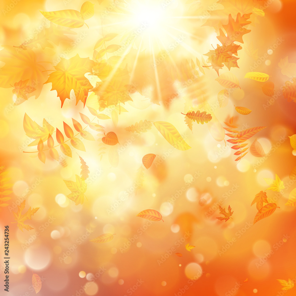 Autumn background with natural leaves and bright sunlight. EPS 10