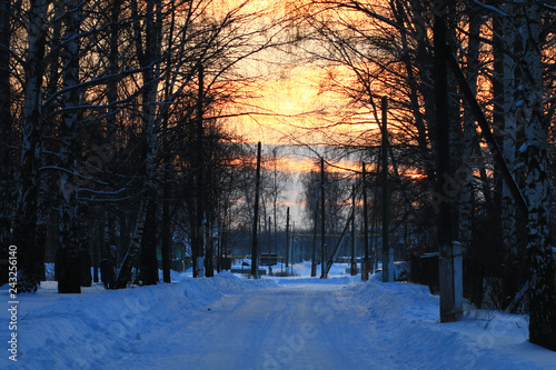 Sunset in winter forest.