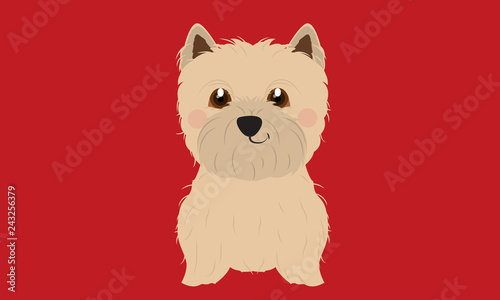 Yorkshire dog cartoon vector