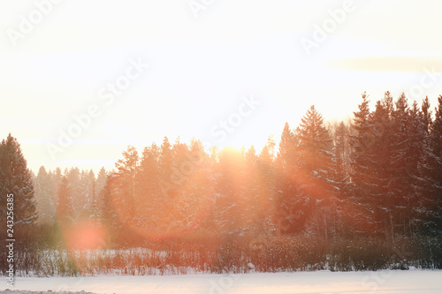 Sunset in winter forest.