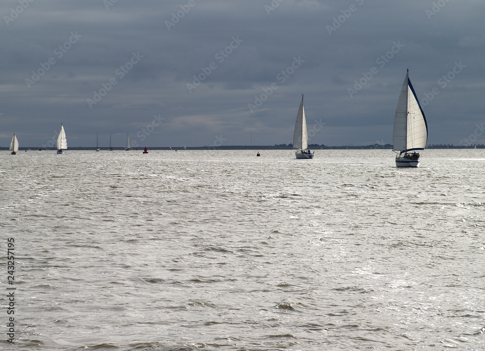 Yachts sailing with the wind on open sea