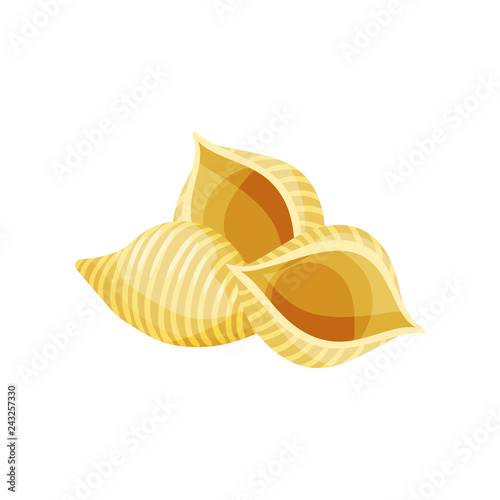 Uncooked Italian conchiglie. Pasta in shape of sea shells. Culinary theme. Detailed flat vector design