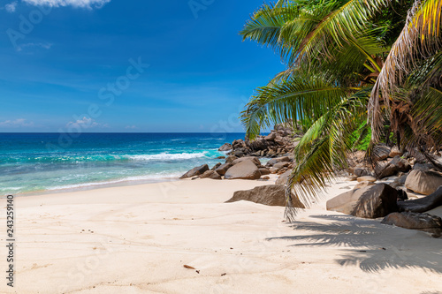 Fototapeta Naklejka Na Ścianę i Meble -  Tropical sandy beach with palms and turquoise sea in Seychelles island.  Summer vacation and travel concept.  