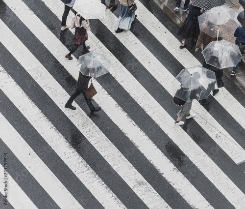 Tokyo Crosswalk Scene on the Rainy Day from above