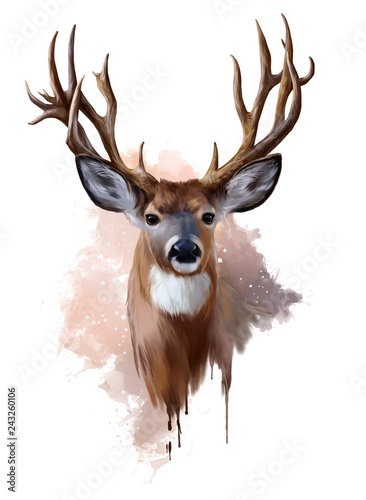 Canvastavla Deer with spreading antlers watercolor painting