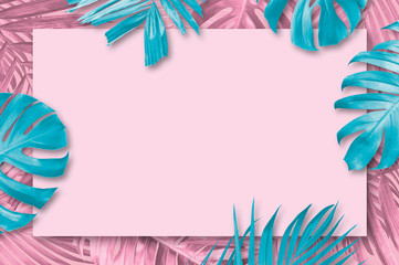 Summer tropical leaves background with copy space minimal style