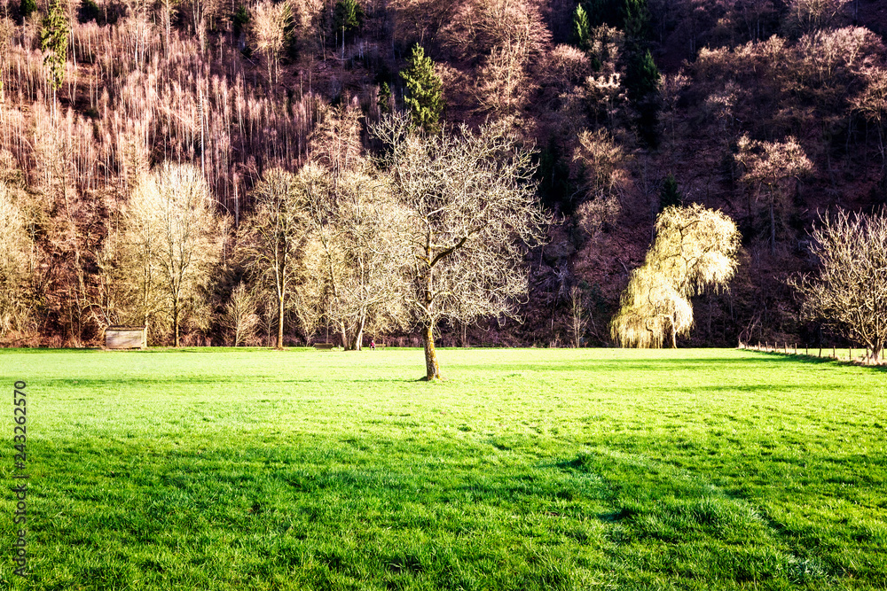 Early spring landscape