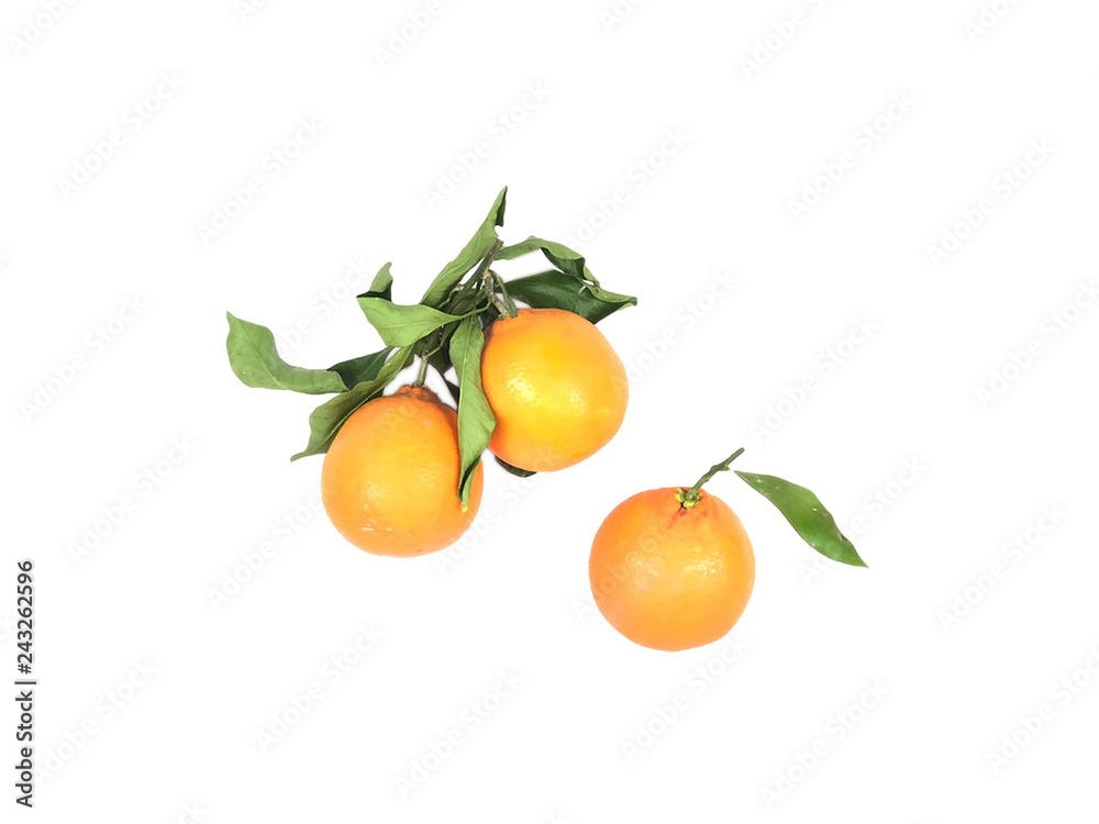 Organic Orange Fruits Organic Orange Fruits