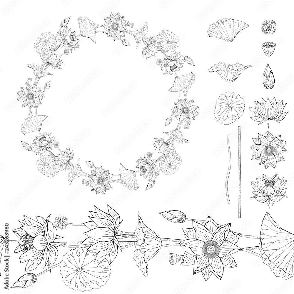 Black and white Wreath and seamless brush from lotus flower, botanical design elements Black and white Wreath and seamless brush from lotus flower, botanical design elements