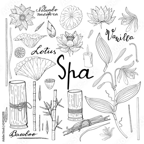 spa set of vanilla orchid, lotus flower, bamboo
