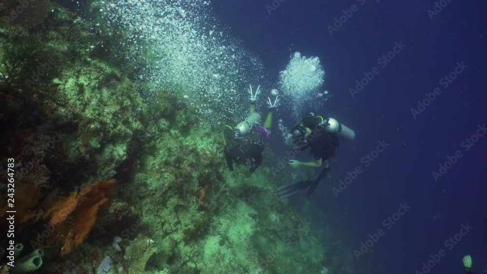 Scuba divers explores underwater coral reef and watching fish.Scuba diver underwater in tropical sea.Tropical fish on coral reef. Diving and snorkeling in tropical sea. Scuba divers explores underwater coral reef and watching fish.Scuba diver underwater in tropical sea.Tropical fish on coral reef. Diving and snorkeling in tropical sea.