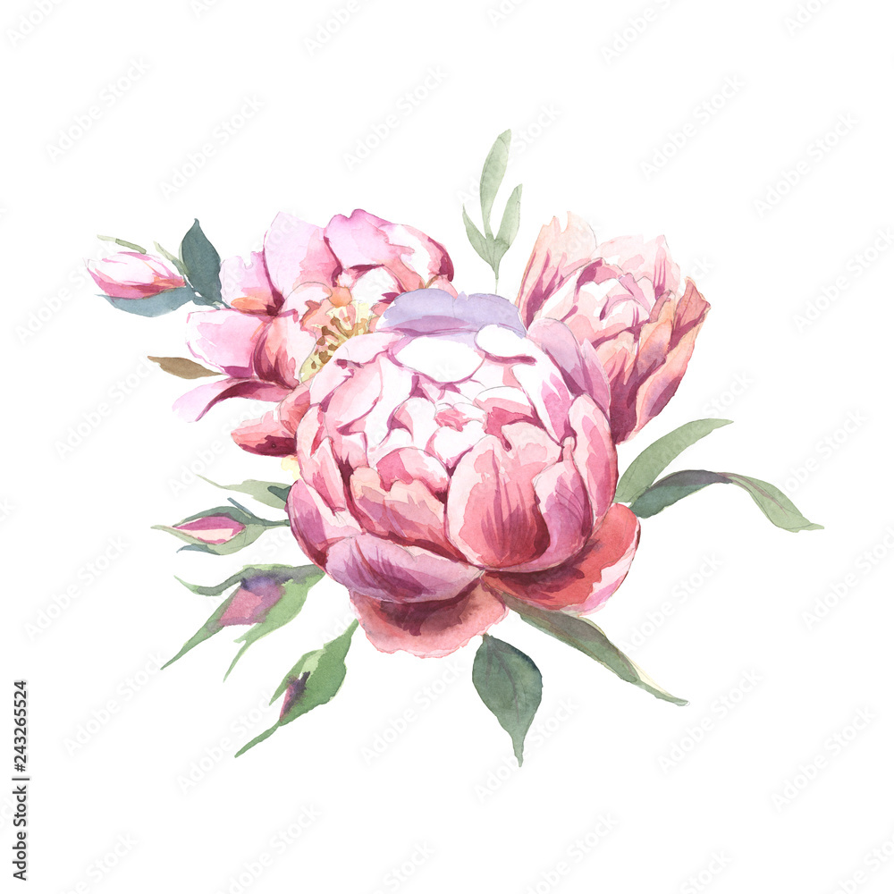 Watercolor Bouquet of peony and blosom flowers isolate in white background for wedding, invitation, valentine cards and prints Watercolor Bouquet of peony and blosom flowers isolate in white background for wedding, invitation, valentine cards and prints