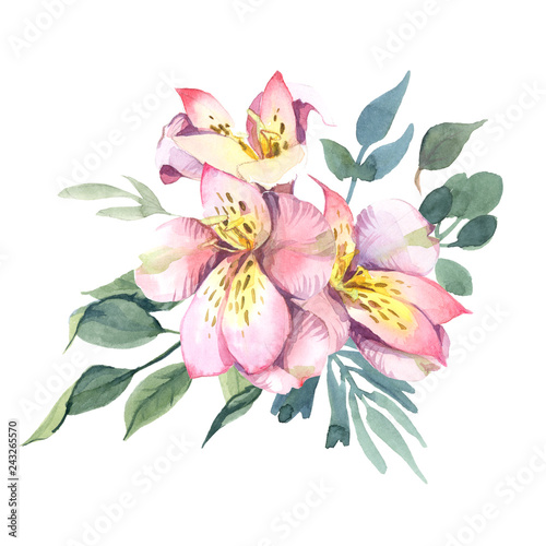 Watercolor  Bouquet of peony and blosom flowers isolate in white background for wedding  invitation  valentine cards and prints