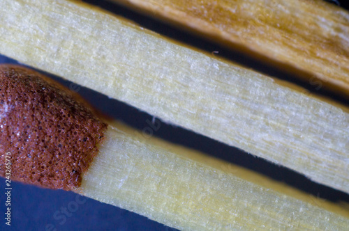 Wooden matches. Macro close up