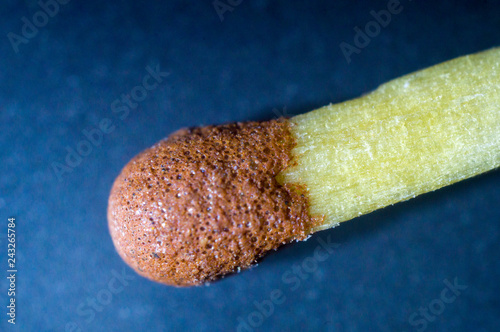 Wooden match. Macro close up