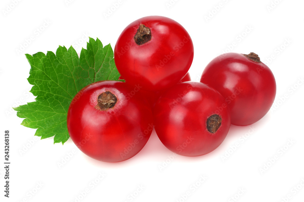 red currant with green leaf isolated on a white background. macro. healthy food red currant with green leaf isolated on a white background. macro. healthy food
