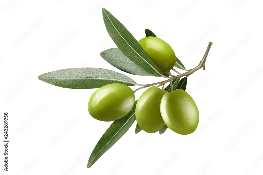Olive branch with green olives, isolated on white background Stock Photo |  Adobe Stock