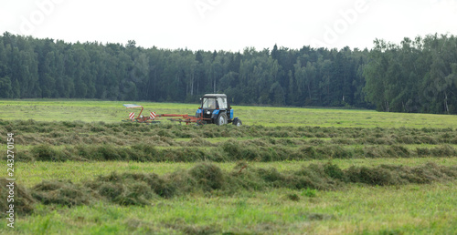 Tractor in the field collects hay